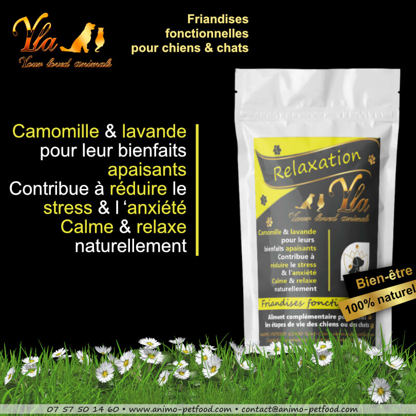 friandises-anti-stress-chien-et-chat